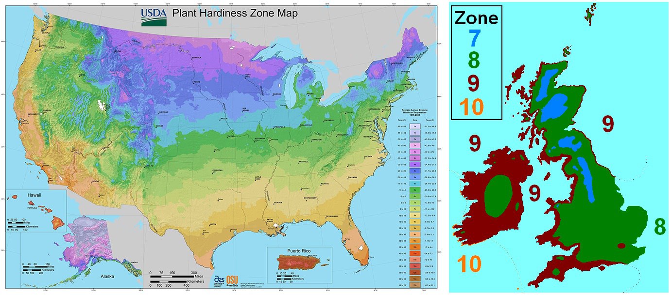 Особенности климата сша. Климатическая карта США. Климатические зоны США карта. Карта зон морозостойкости США. Климат США карта.