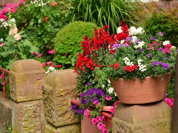 8 советов для создания красивого и простого в уходе сада