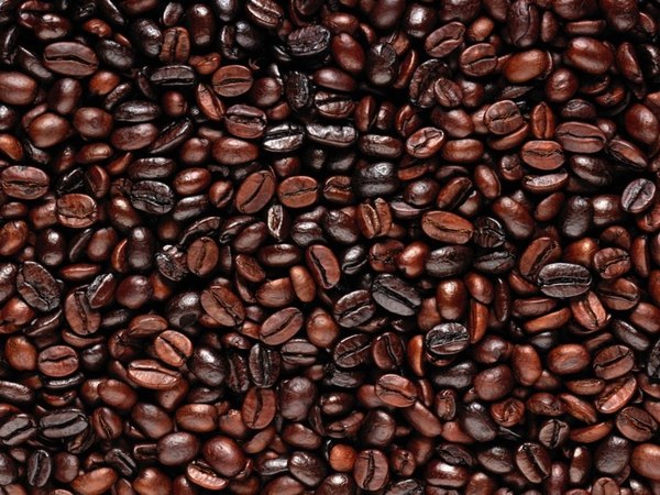 Кофейные плантации нуждаются в спасении