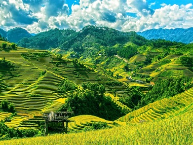Рисовые поля: глянцевые пейзажи с богатой историей