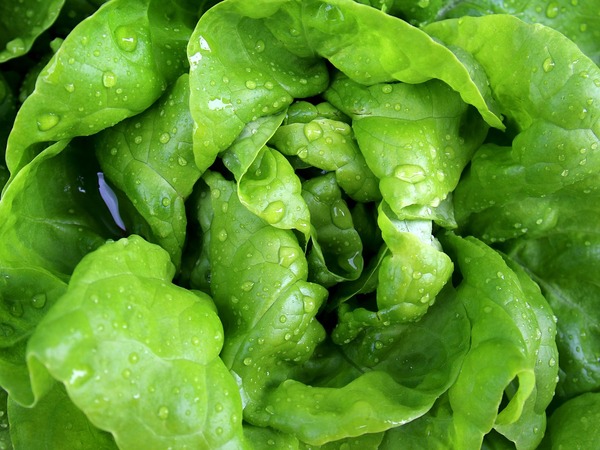 9 видов овощных салатов