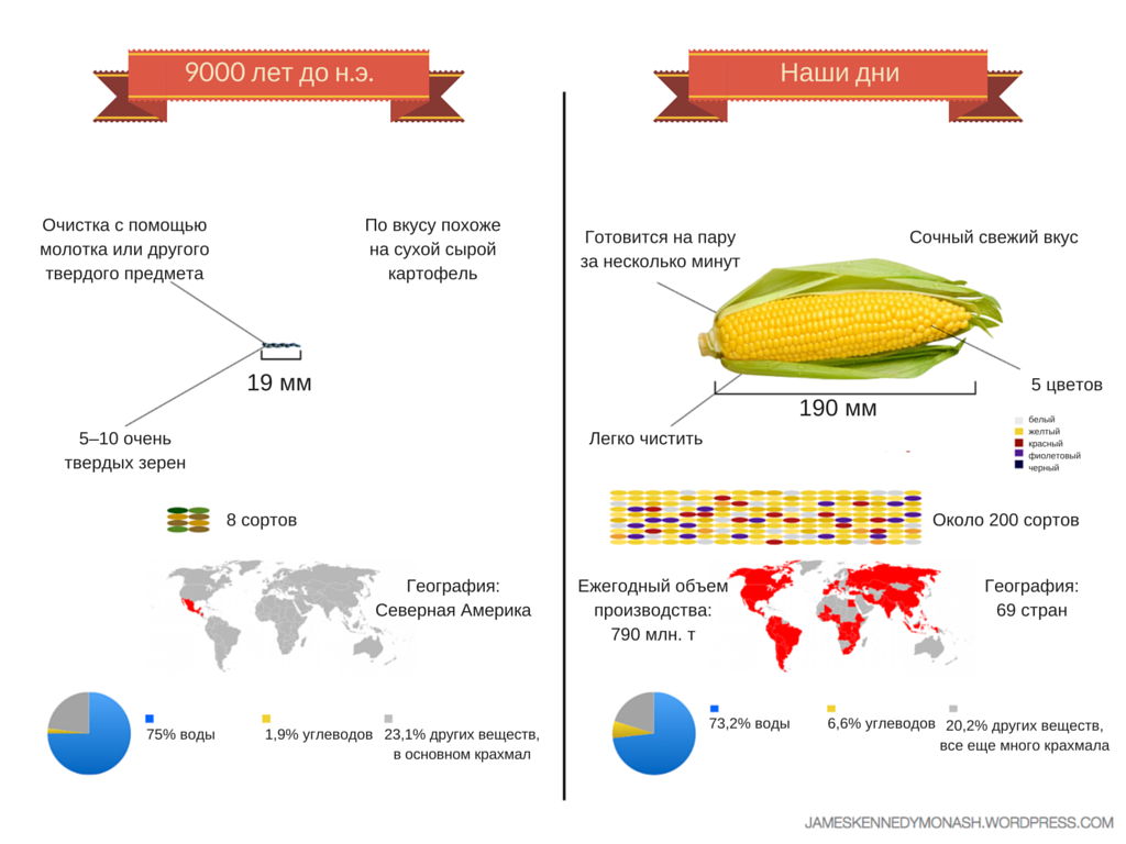 история селекции кукурузы